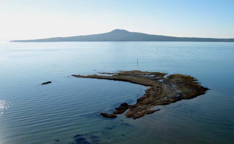 Auckland: City Tour with Wine Tasting and Black Sand Beach - The Vineyards: Sampling New Zealand’s Best Wines