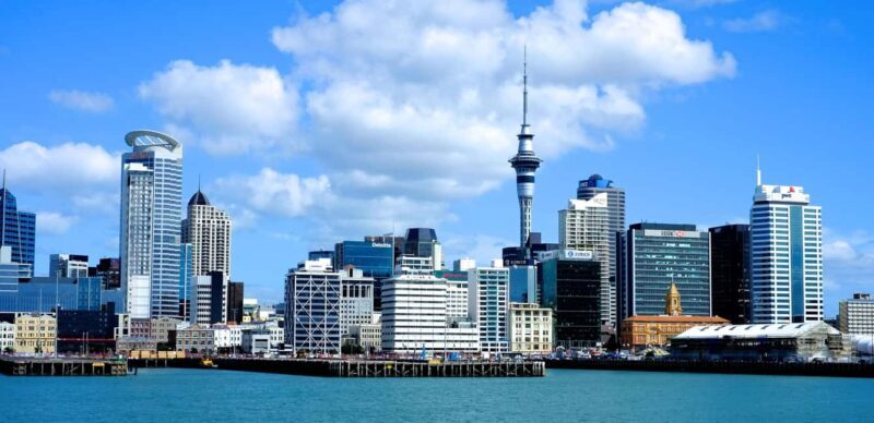 Auckland: City Tour with Wine Tasting and Black Sand Beach - Who Will Love This Tour?