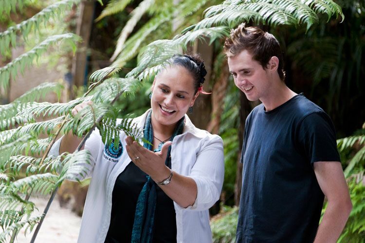 Auckland City & West Coast Luxury Tour - The Sum Up