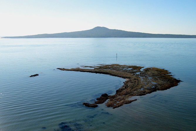 Auckland Coastal Experience - Small Group City & Beach Tour Incl. Wine Tasting - Exploring Auckland’s Coastline and Neighborhoods
