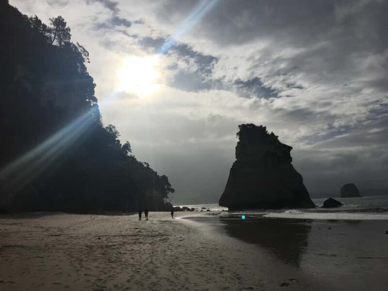 Auckland: Coromandel Day Tour including Hot Water Beach - Authentic Insights from Travelers