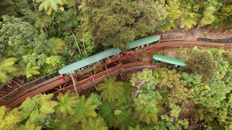 Auckland: COROMANDEL Driving Creek & CATHEDRAL COVE day tour - A Closer Look at the Day Tour