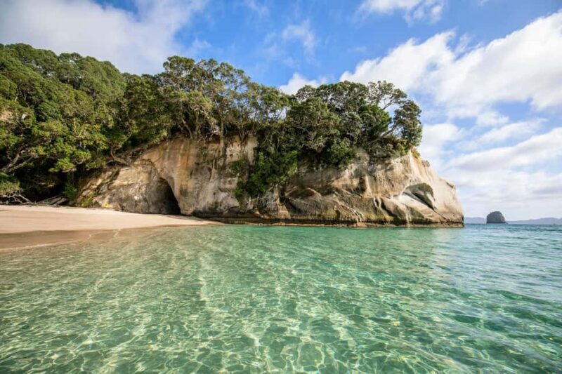 Auckland: COROMANDEL Driving Creek & CATHEDRAL COVE day tour - Final Reflection