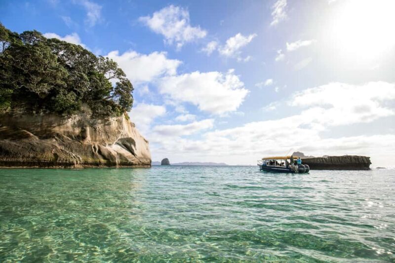 Auckland: COROMANDEL Driving Creek & CATHEDRAL COVE day tour - FAQs