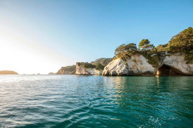 Auckland: COROMANDEL Driving Creek & CATHEDRAL COVE day tour - Final Words