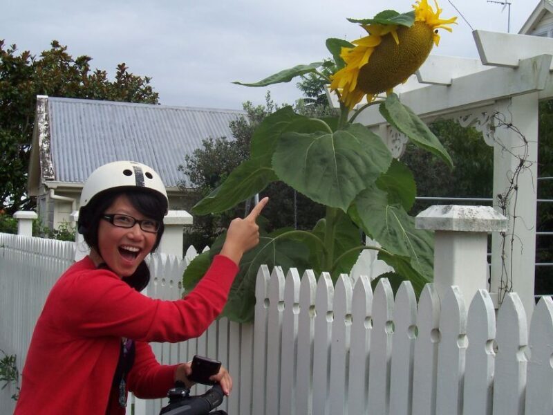 Auckland: Devonport Village Segway Tour - Who Should Consider This Tour?