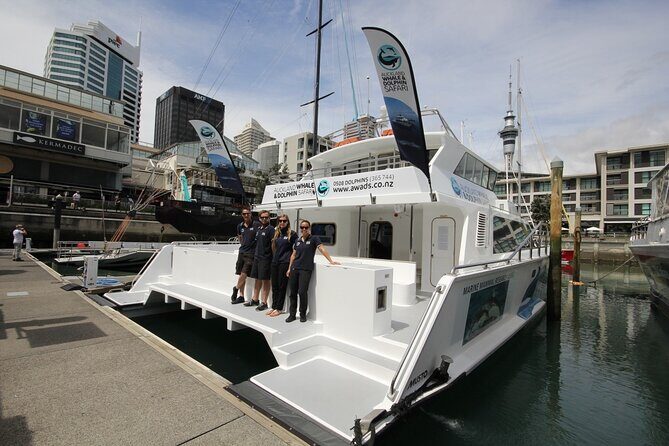 Auckland Dolphin and Whale Watching Eco-Safari Cruise - Who Is This Tour Best For?