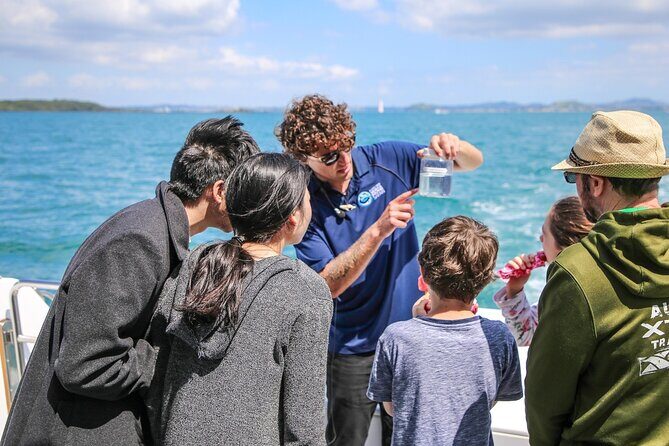 Auckland Dolphin and Whale Watching Eco-Safari Cruise - Final Thoughts: Is It Worth It?