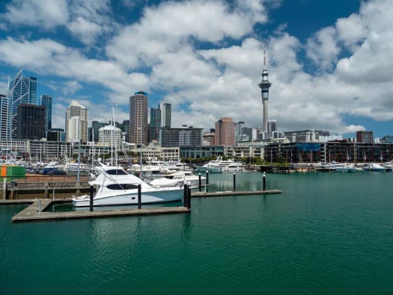 Auckland Family Tales: Private Stroll in the City of Sails - Practical Tips for Your Tour