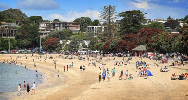 Auckland: Full-Day City Tour - Key Points
