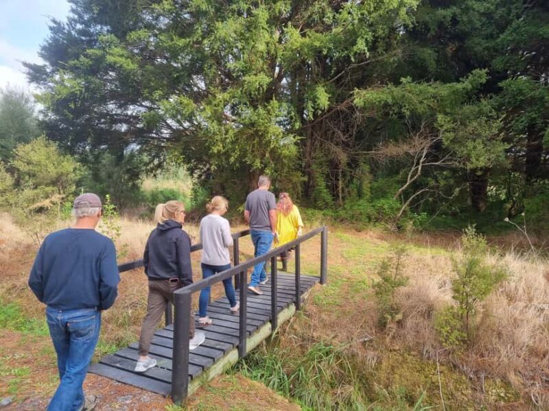 Auckland: Full-Day Jade Carving, Honey Tasting & Wine Tour - Analyzing the Value of This Tour