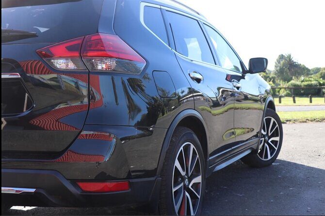 Auckland Fullday Private Transport Service - Authentic Customer Feedback & Expectations