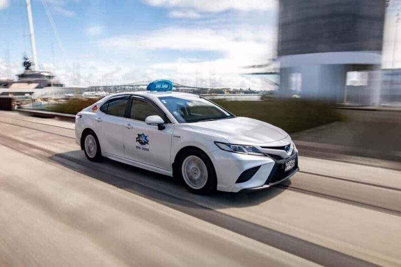 Auckland: GoGuided Auckland City Tour - What Makes This Tour Stand Out?