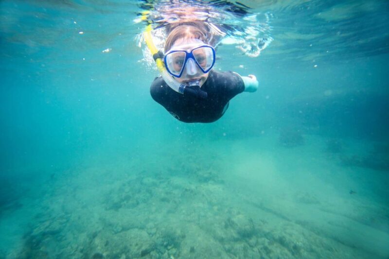 Auckland: Guided Snorkeling and Island Exploration Tours - Who Should Consider This Tour?
