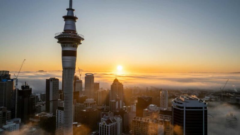 Auckland Half Day Attractions and Museums Tour - Key Points