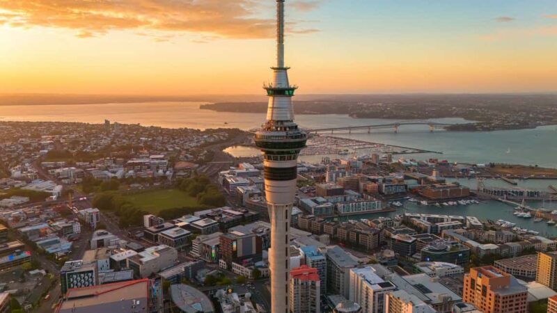 Auckland Half Day Attractions and Museums Tour - Why This Tour Works for You