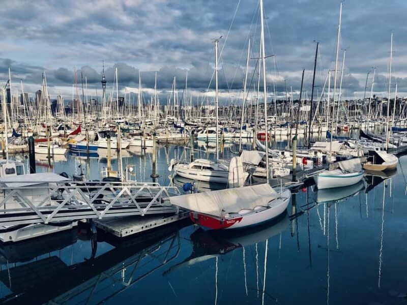 Auckland Half Day Attractions and Museums Tour - What It Means for Your Trip