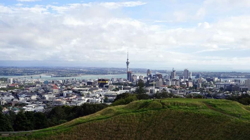 Auckland Half Day Attractions and Museums Tour - Final Thoughts