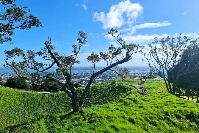 Auckland Half Day City Tour - Heart of Auckland - Frequently Asked Questions
