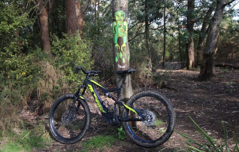 Auckland Half-Day Ebike Tour Excursion - FAQs