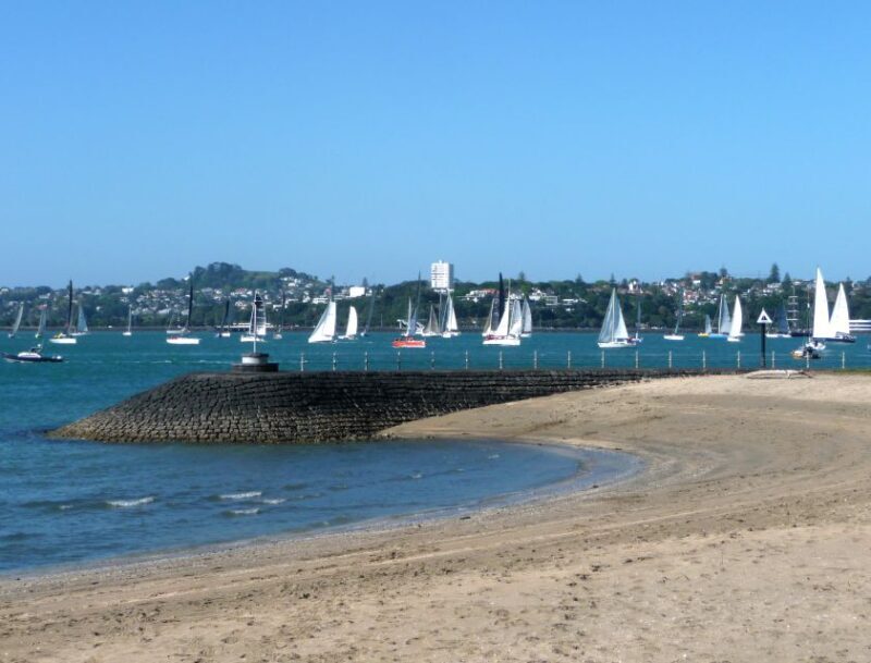 Auckland: Half-Day Private City Highlights Tour - A Closer Look at the Tour Experience