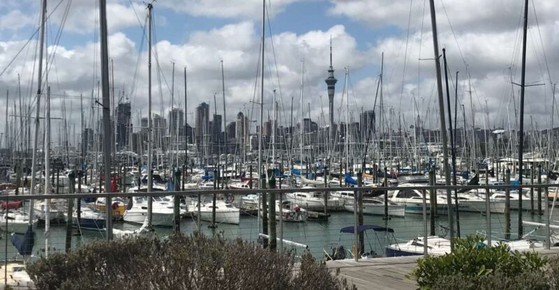 Auckland: Half-Day Private City Highlights Tour - Who Should Consider This Tour?