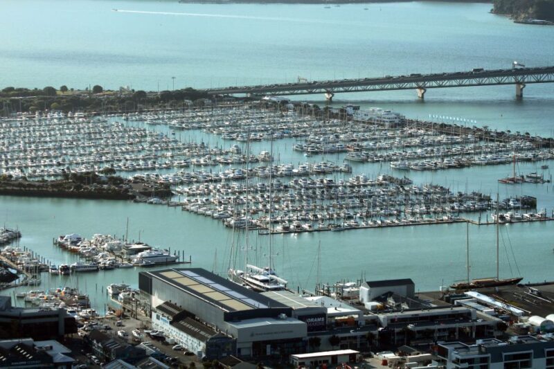 Auckland: Half-Day Private City Highlights Tour - Final Thoughts