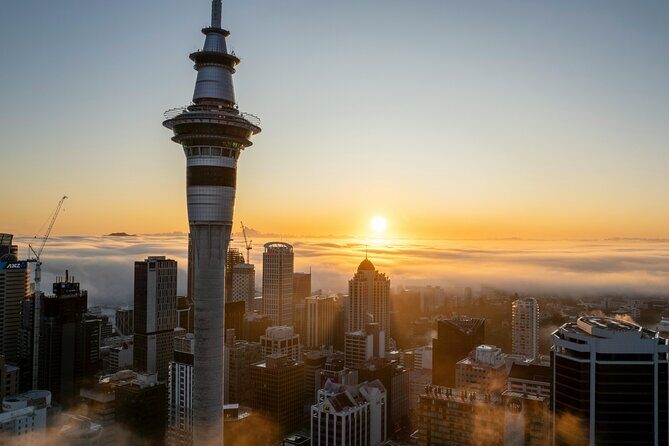 Auckland Half Day Tour Through Urban Wonders - Authentic Experiences and Authentic Guides