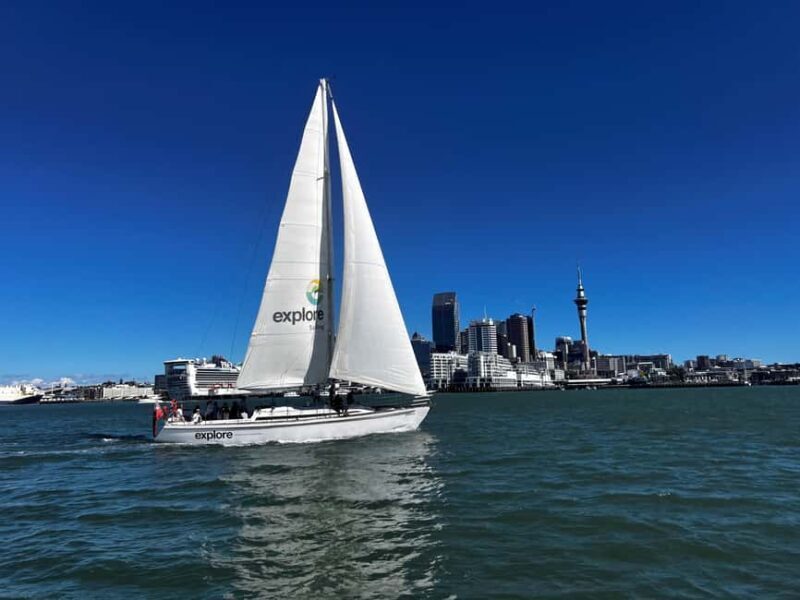Auckland Harbour 1.5-Hour Sailing Cruise - An Accessible Start at Viaduct Harbour