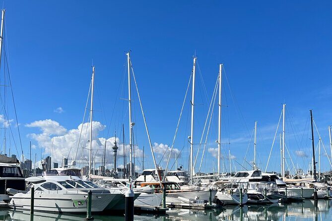 Auckland Harbour And Muriwai Black Sand Beach Private Tour - A Deep Dive into the Auckland Harbour and Muriwai Black Sand Beach Private Tour