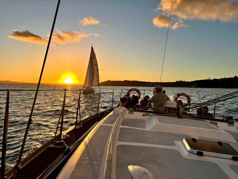 Auckland: Harbour Sailing Cruise with 3-Course Dinner - Who Will Love This?