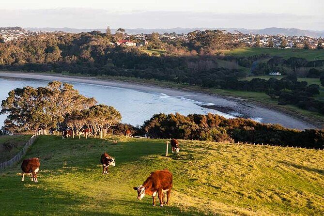 Auckland Hidden gem Tour - Key Highlights of the Itinerary