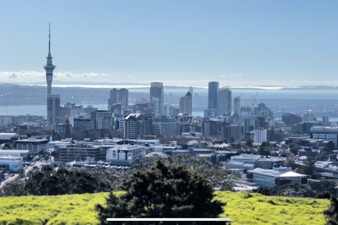 Auckland Highlight Fullday City Tour - Authentic Experiences from Reviews