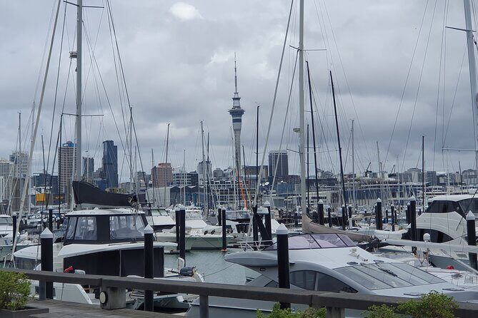 Auckland Highlights Full Day Guided Tour - Practical Details and What to Expect