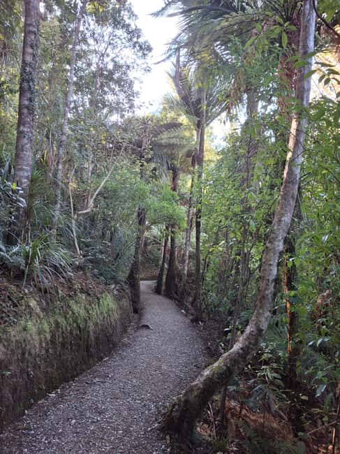 Auckland: Hiking West Auckland Rainforest & Waterfalls Tour - Explore the Wild West of Auckland with a Guided Rainforest & Waterfalls Tour