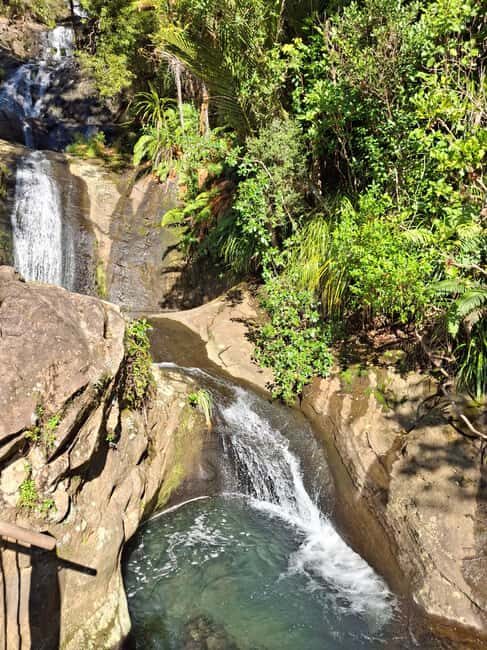 Auckland: Hiking West Auckland Rainforest & Waterfalls Tour - Heritage and Panoramic Views