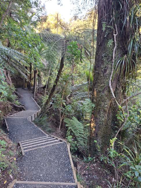 Auckland: Hiking West Auckland Rainforest & Waterfalls Tour - Relaxing at a Local Café