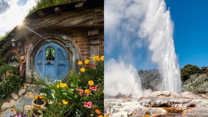 Auckland: Hobbiton and Rotorua Day Tour including Te Puia - Final Thoughts