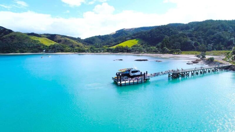 Auckland: Man O' War Vineyard Ferry (Waiheke Island) - Authentic Experiences and Real Traveler Insights