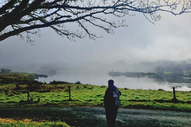 Auckland Nature Tour - Authentic Experiences and Real Reviews