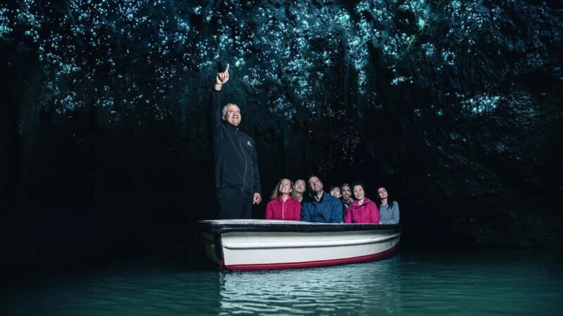 Auckland: One-Way Tour to Rotorua with Waitomo Caves - Key Points