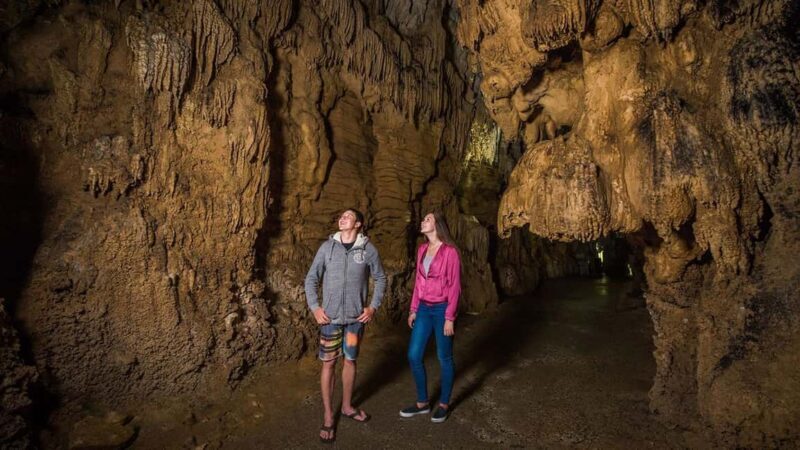 Auckland: One-Way Tour to Rotorua with Waitomo Caves - Authentic Encounters and Real-Life Reviews