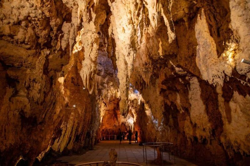 Auckland: One-Way Tour to Rotorua with Waitomo Caves - Final Thoughts: Why Choose This Tour?