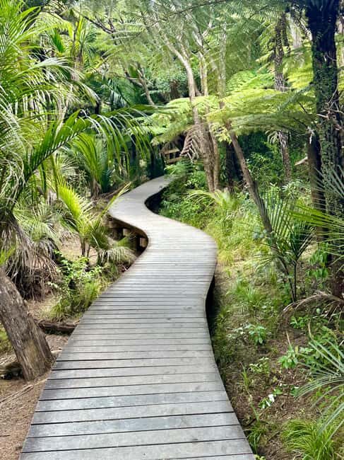 Auckland: Piha Beach, Rainforest, & Mount Eden Private Tour - FAQ