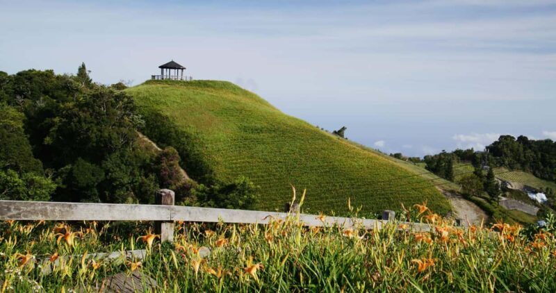 Auckland: Private City Tour with Mount Victoria and Mt. Eden - Exploring Auckland: What You Can Expect