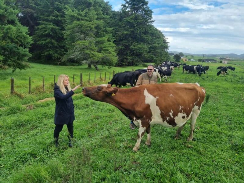 Auckland: Private Farm Tour with Sheep Shearing & Lunch - Auckland: Private Farm Tour with Sheep Shearing & Lunch