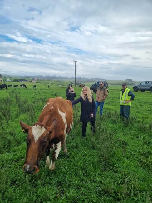 Auckland: Private Farm Tour with Sheep Shearing & Lunch - Final Thoughts