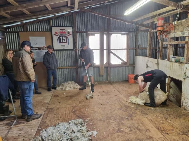 Auckland: Private Farm Tour with Sheep Shearing & Lunch - FAQ