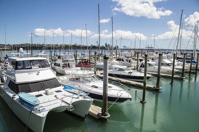 Auckland Private Full Day Attractions Tour & Museums - An In-Depth Look at the Auckland Private Full-Day Tour