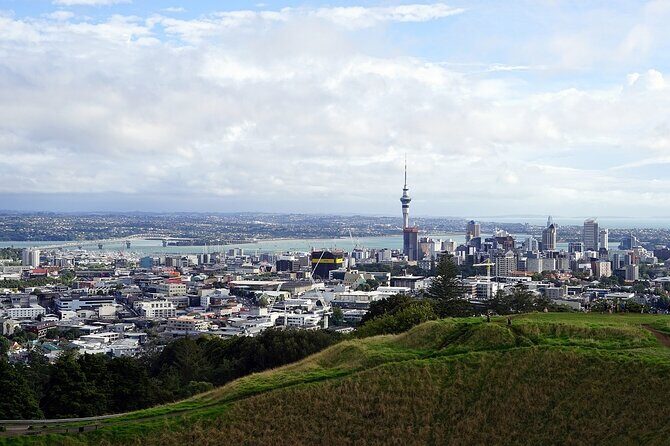 Auckland Private Full Day Attractions Tour & Museums - Who Should Consider This Tour?